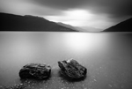 Loch Lomond Black & White